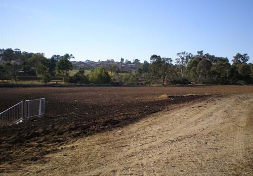Basin 31 prepared for revegetation