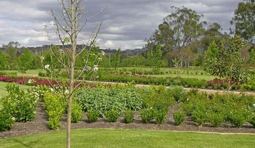 Coolmore Homestead