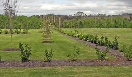 Coolmore Homestead